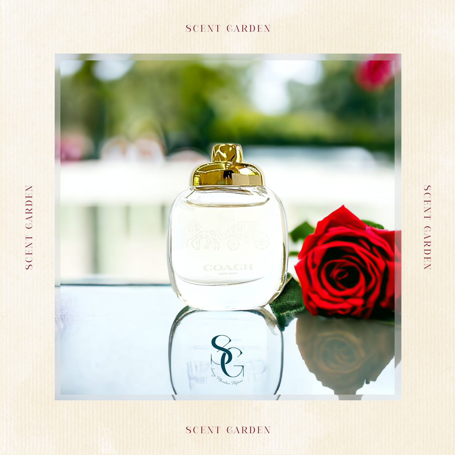 Coach: New York (4.5 ml)