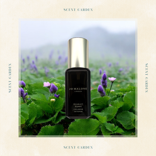 Jo Malone: Scarlet Poppy (9 ml)